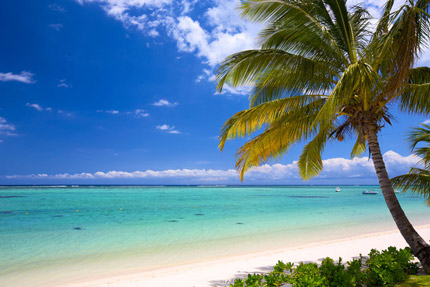 WM88 présent en Île Maurice