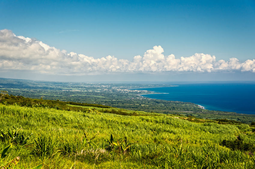 WM88 présent en Île Maurice